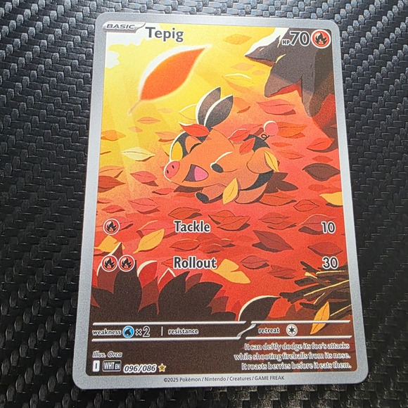 pokemon card tepig Japanese 011/086 sv11W C TCG Tepig Pokemon White Flare Illustration Rare #096 PSA 9 Pokemon Trading Card Game Ascended